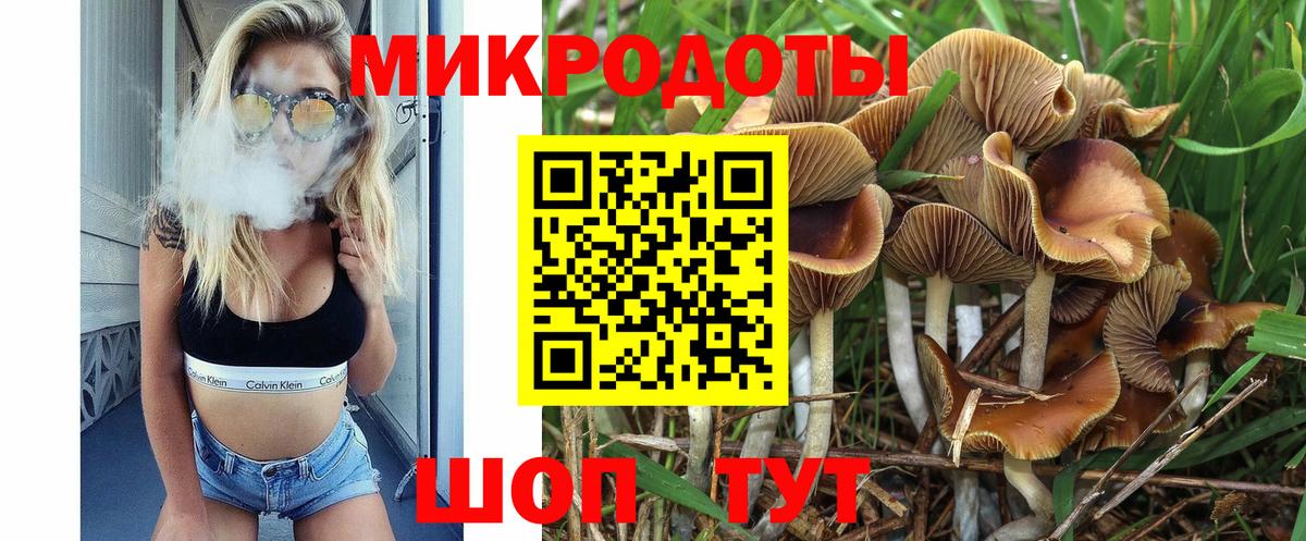 Галлюциногенные грибы Psilocybine cubensis  Вход с VPN  Новороссийск 